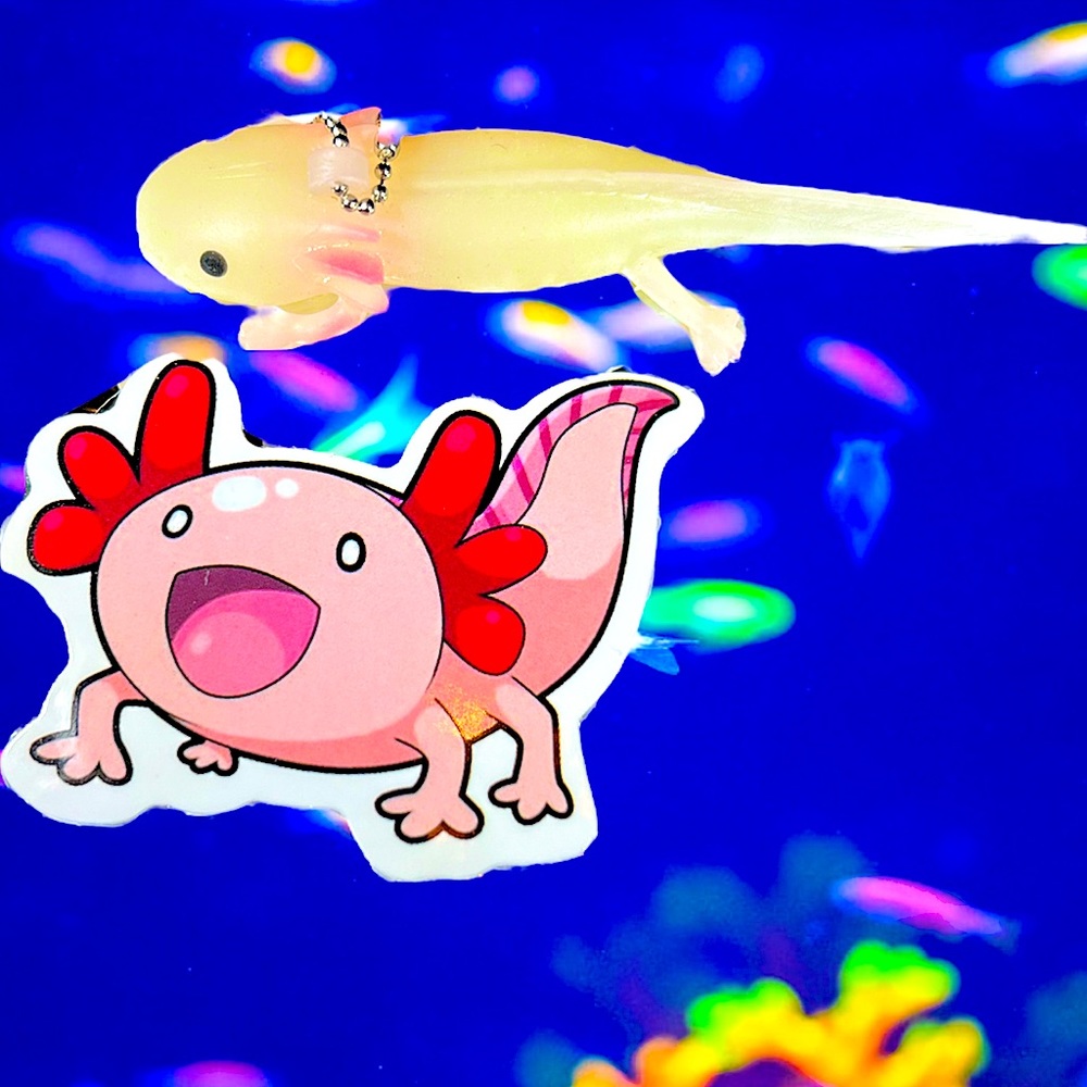 HUNGRYLotl Axolotl Crazy Trending WaterProof Single Decor Accent Sticker